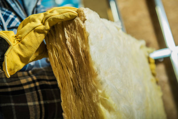 Best Insulation Repair Services  in Belvedere Park, GA